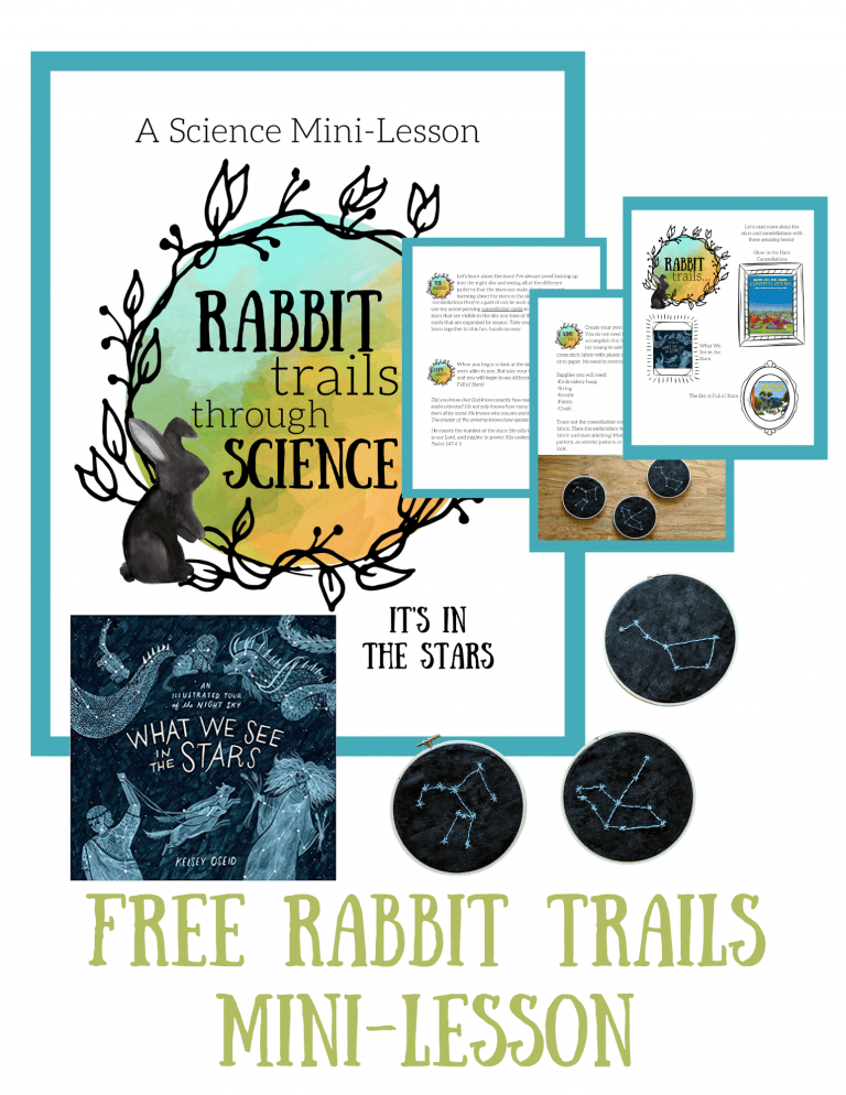 Free Rabbit Trails Constellation Study and Constellation Cards ...