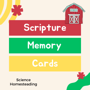 Scripture Memory Cards: Homesteading