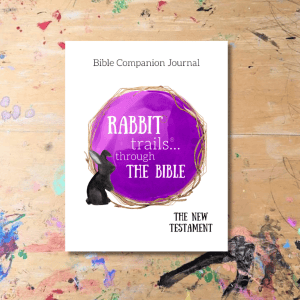 Rabbit Trails Through The Bible: New Testament Companion Journal